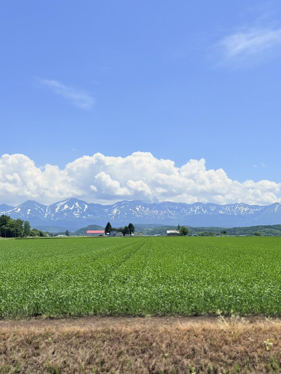 _nihaka's tweet photo. beautiful early summer in Hokkaido https://t.co/qTaQJSGrfp