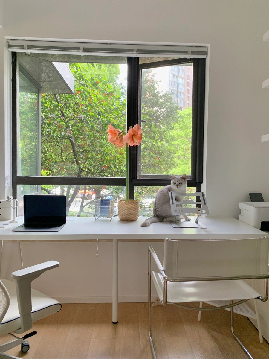 cab_kai's tweet photo. Tiny tweak, big vibe: Swap a random mug for a cute plant and a stylish pen holder on your desk – work feels way less draining! https://t.co/8HHvp6qMQR