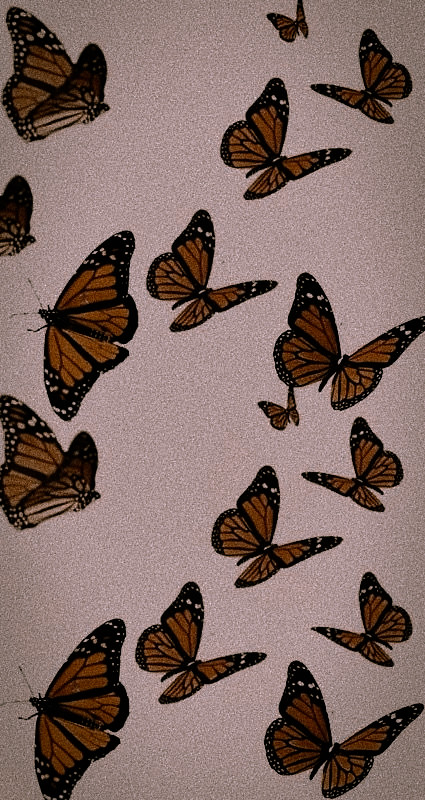 poesiefrivole's tweet photo. ᅠ
ᅠᅠ 

⠀ ⠀⠀🦋    รεժսƈէﻨνε รսռժձყ

ᅠ https://t.co/c78H9NrD4z