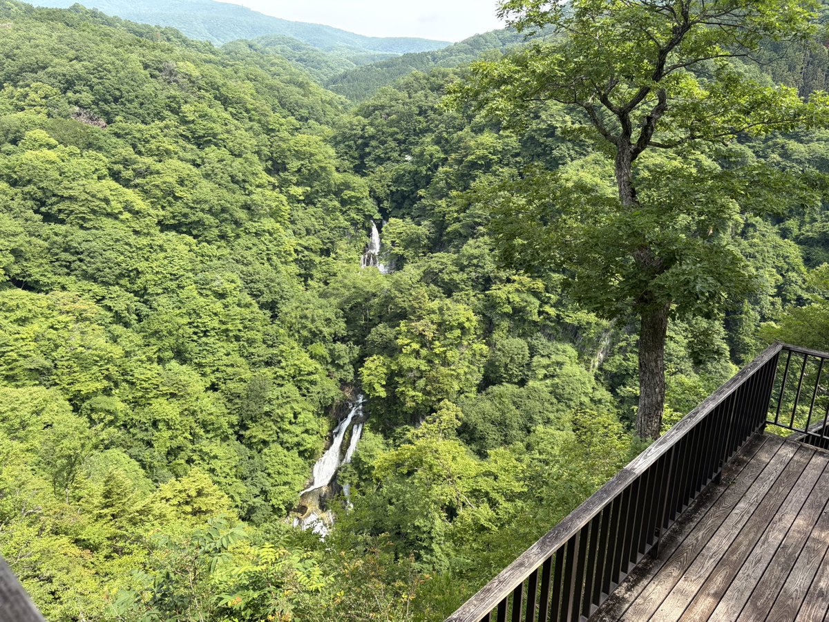 ojisama13's tweet photo. 霧降の滝から大山経由で霧降高原までの大山トレッキングコースを踏破しました

https://t.co/L5FuDUOp7U https://t.co/9GjXARBcdp