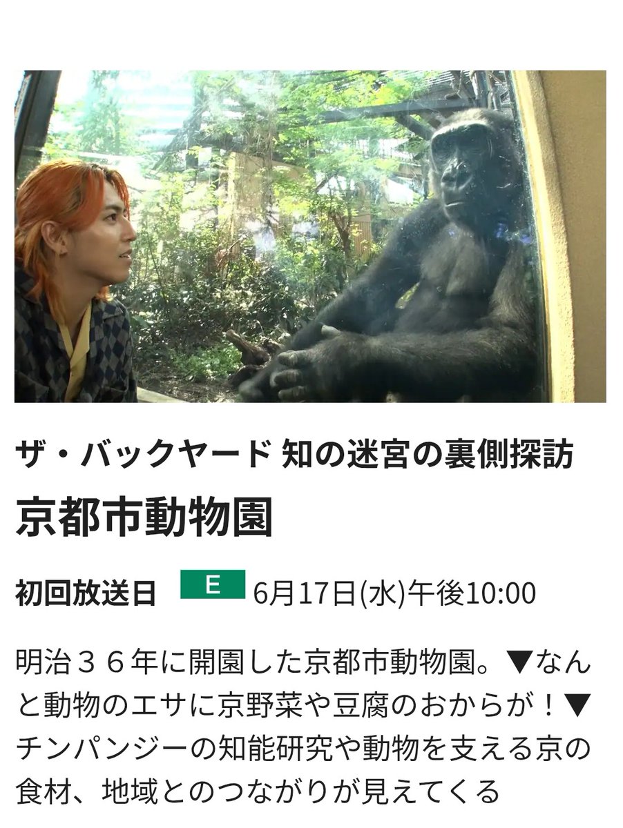 うっかり tweet media