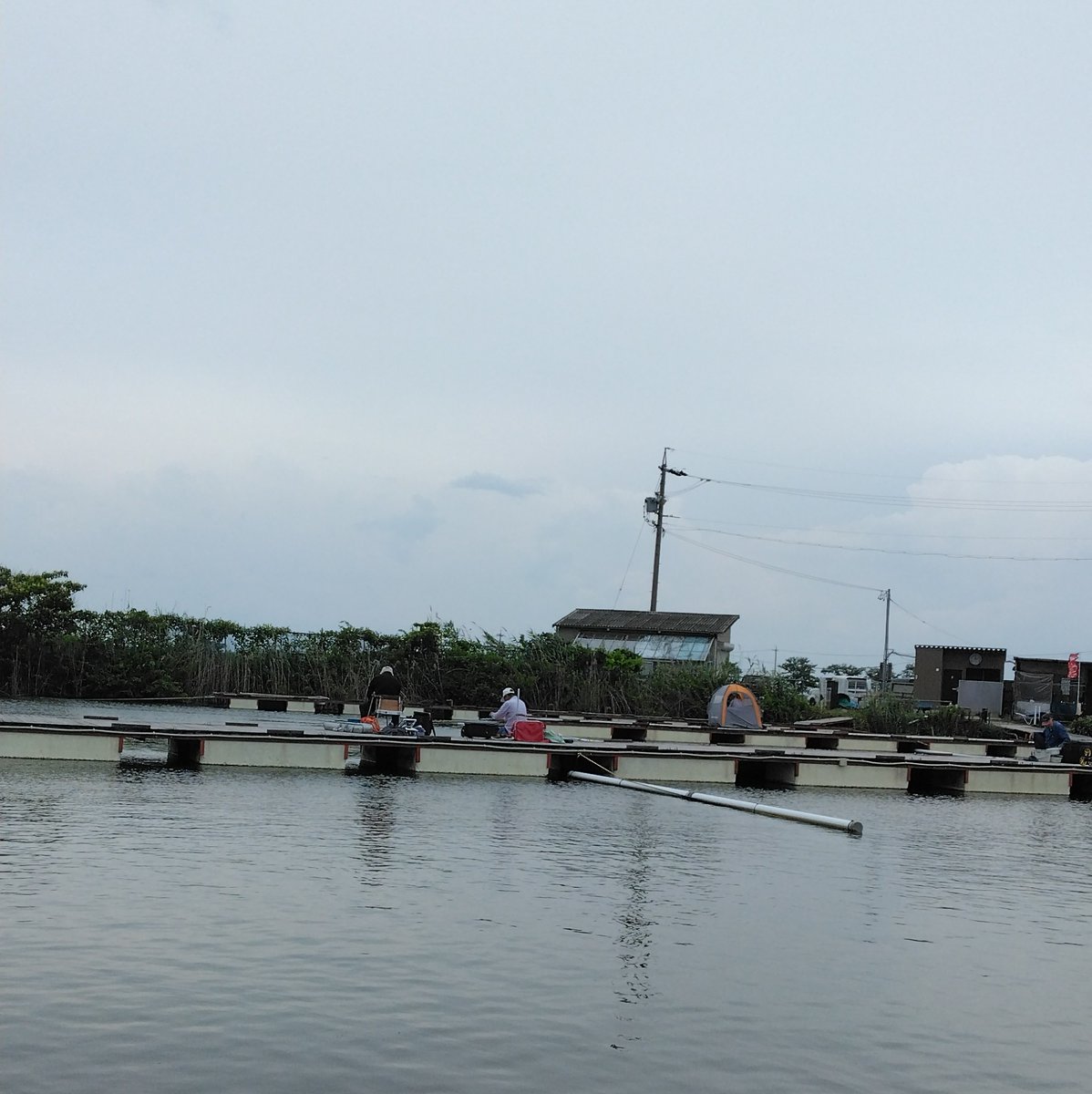 CLEATECLUB's tweet photo. 今日は超久しぶりにウエルカムさんの例会にお邪魔虫で朝日池でした。
21日にクリエイトの例会が
あるので試釣りですね～☺️
7尺コブチョーチンで74枚42kg？
で4位/15人…釣る人は釣るな～😓 https://t.co/4OJN84P1qB