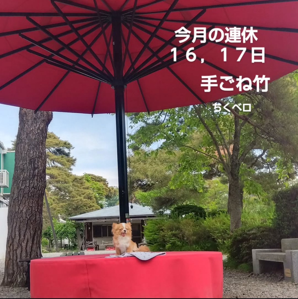 tegone_take's tweet photo. https://t.co/Vr6uB1WaEy