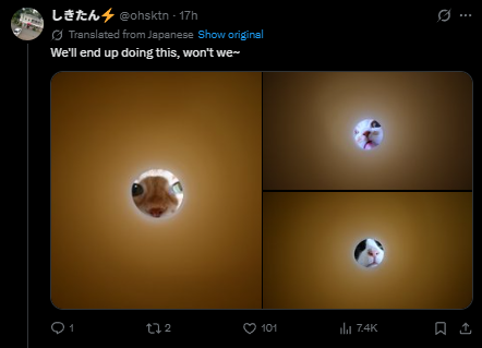 Bingus tweet media