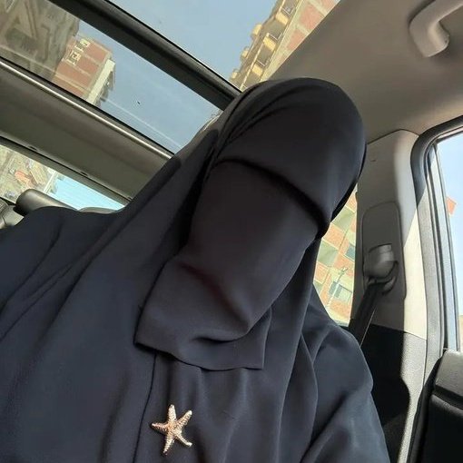 مريم محمد tweet media