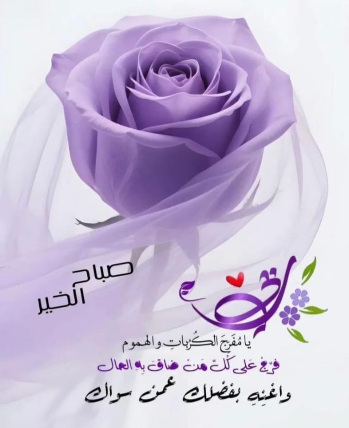 mh86661's tweet photo. #صباح_الخير_والسعادة_للجميع https://t.co/FoxMMRwhei