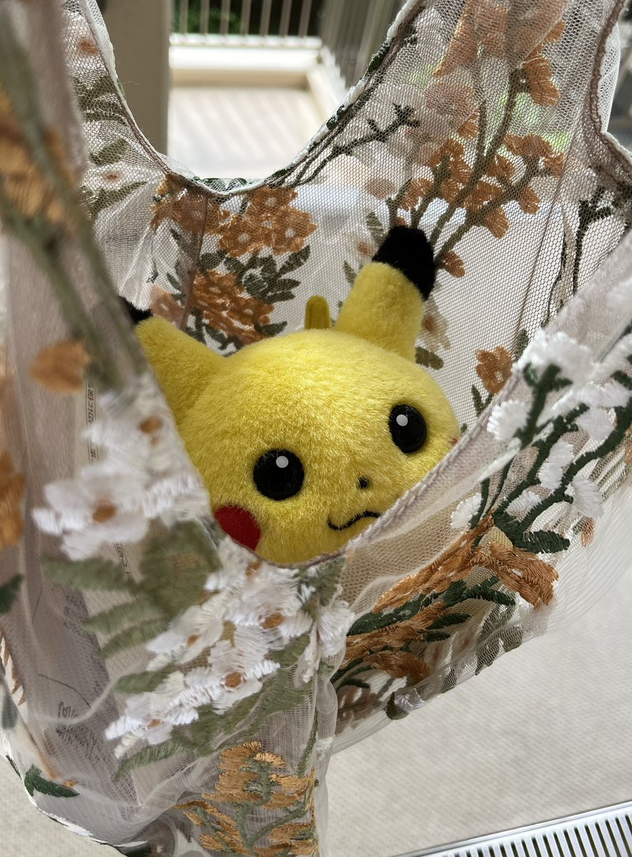 oshaberipikachu's tweet photo. ﾒﾙｶﾘの発送にも同行してくれる勤勉なぴな https://t.co/Ere8dpN21k