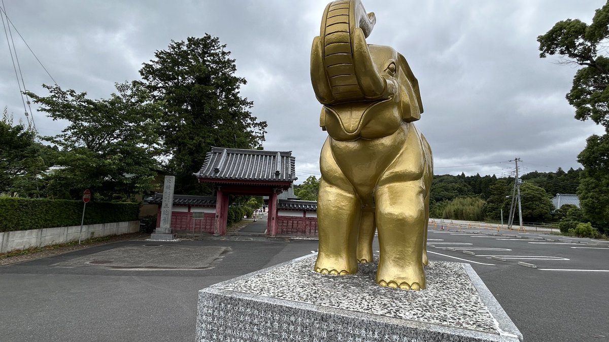 長福寿寺・金運アップの吉ゾウくん【公式】 (@chofukujuji_PR) / Posts / X