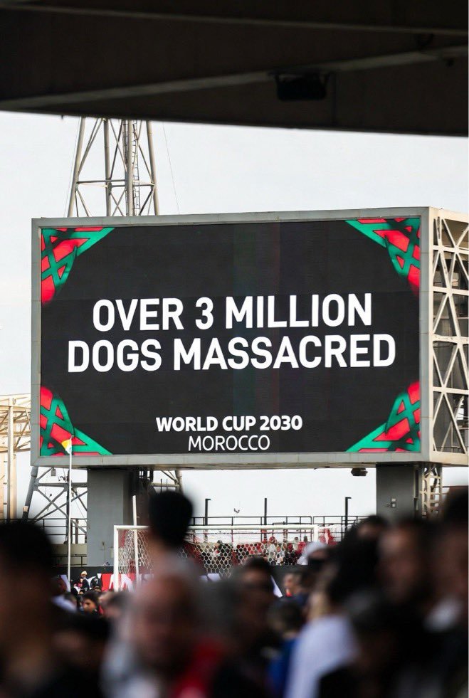 Argenpoirot's tweet photo. Ya van millones de perros masacrados. 
La FIFA es complice. https://t.co/wENWgOz0yD