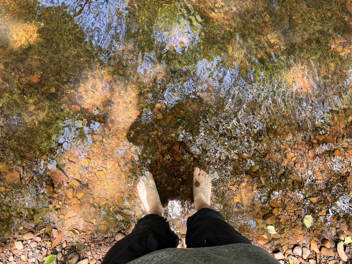 IgnacioRG93's tweet photo. Big Basin Redwoods State Park, California. https://t.co/5fwHUNJOHI