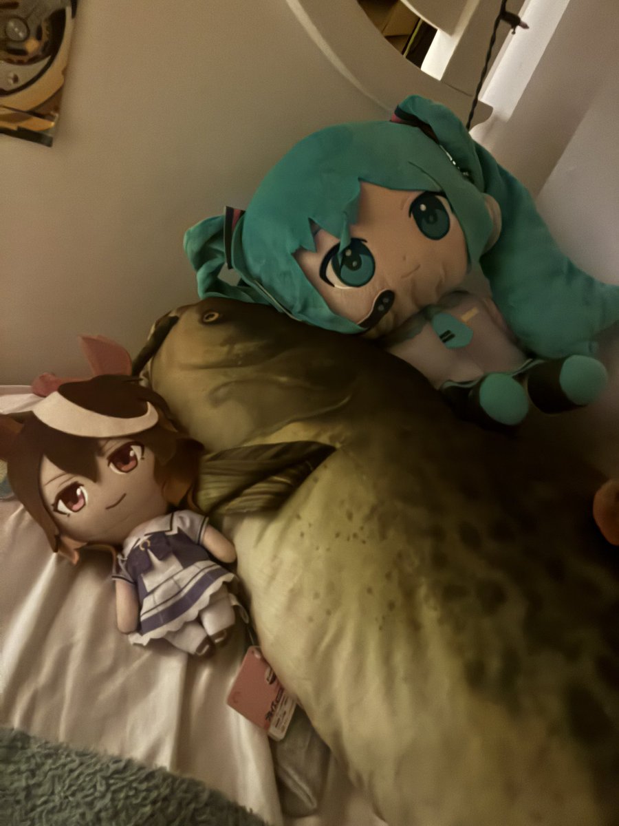 boing_5's tweet photo. @krigim55 it’s gotta be normal https://t.co/rcE8x3xGIl
