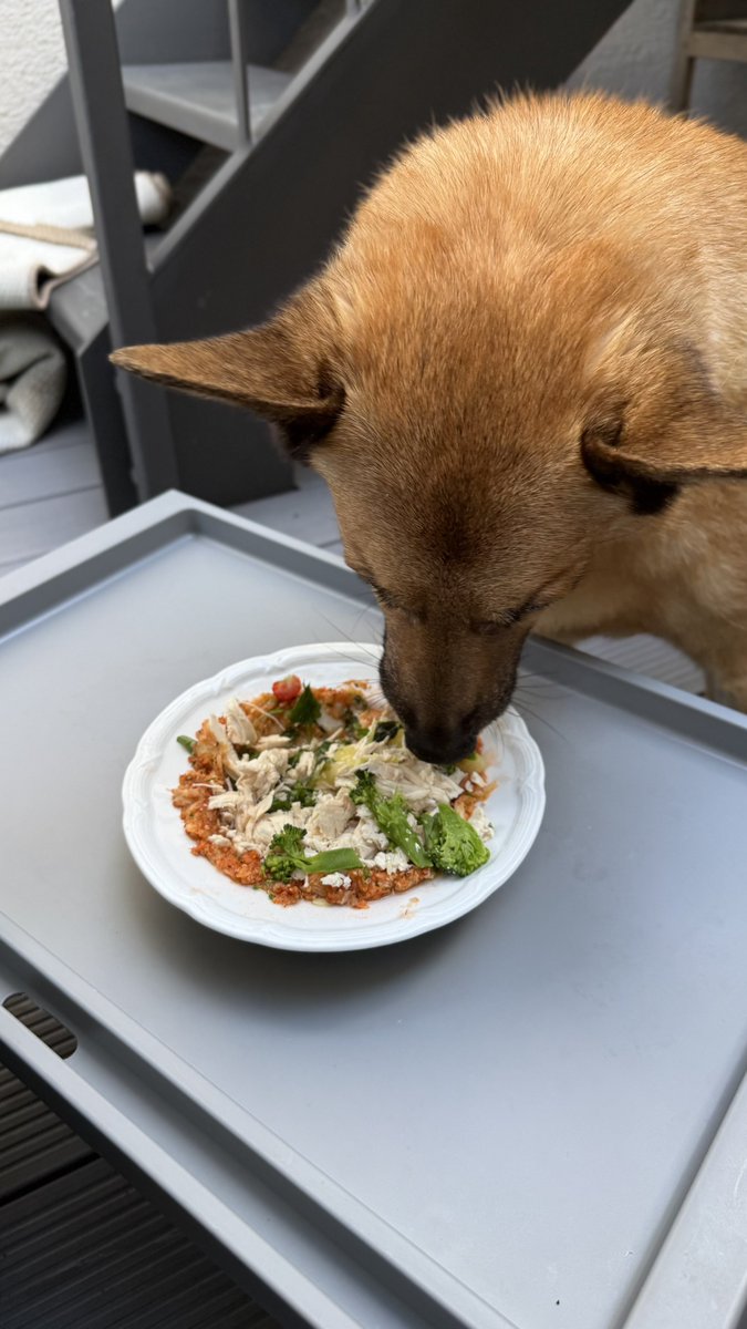 PonchKitchen's tweet photo. -Куда она в этот раз спрятала таблетки?! https://t.co/Lq64lkgINs