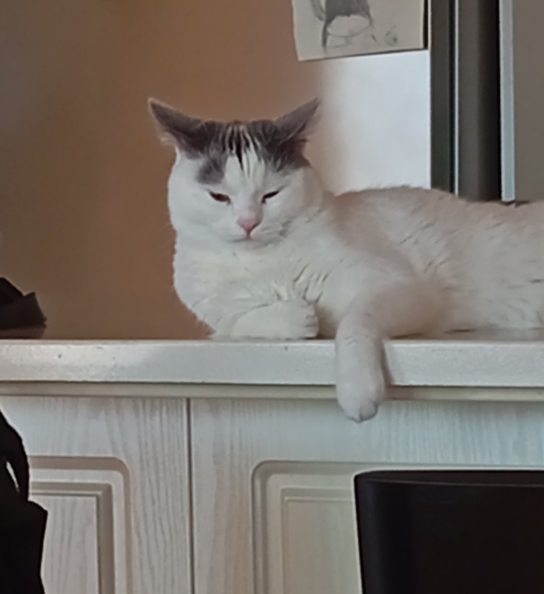kefoyumm's tweet photo. macı izliom 😴😴 https://t.co/BOjM9sWzSw