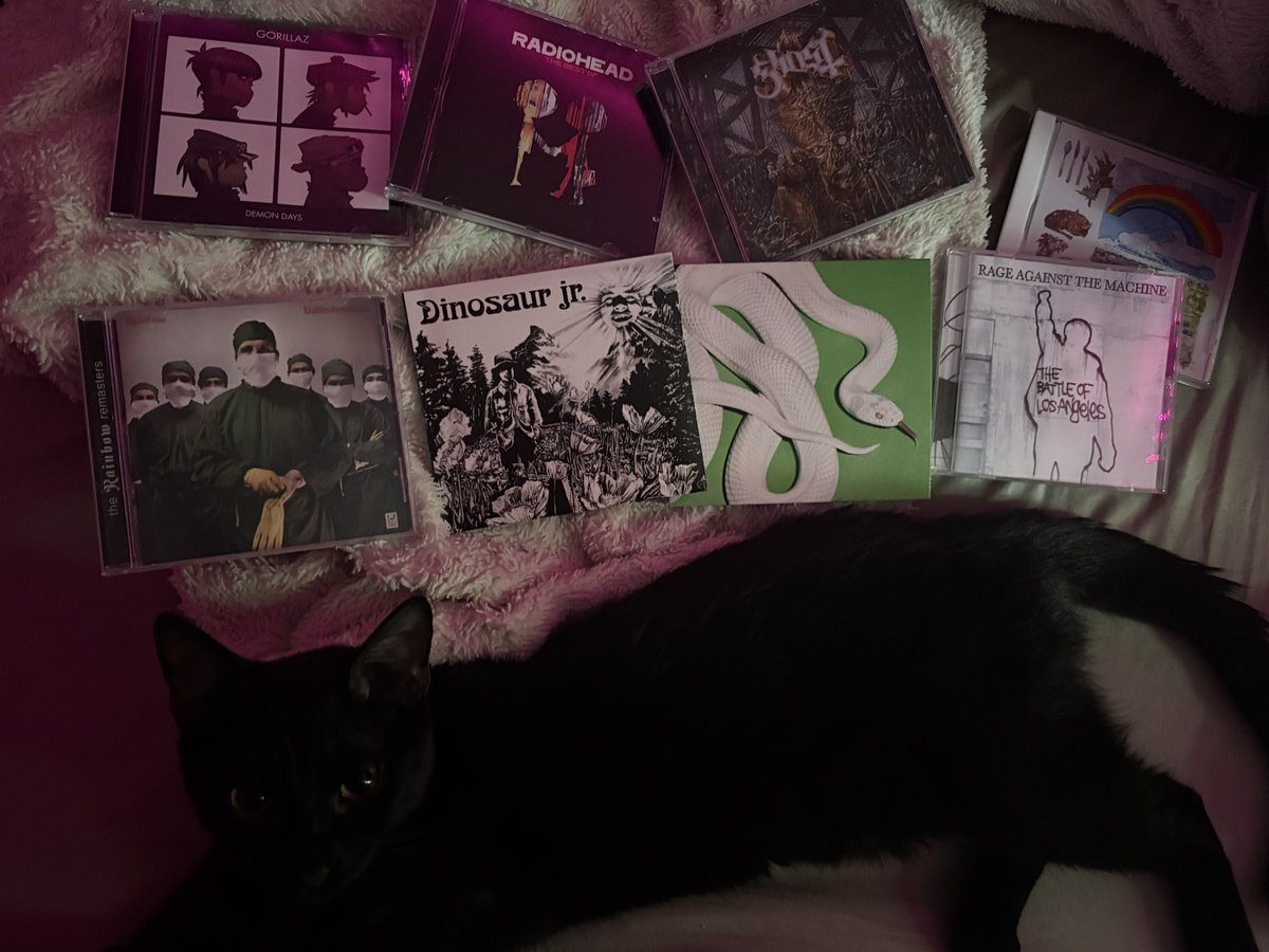 volwixx's tweet photo. started my journey of switching to physical music, it’s so hard deciding which cds to get first https://t.co/EjrzGwsUUA