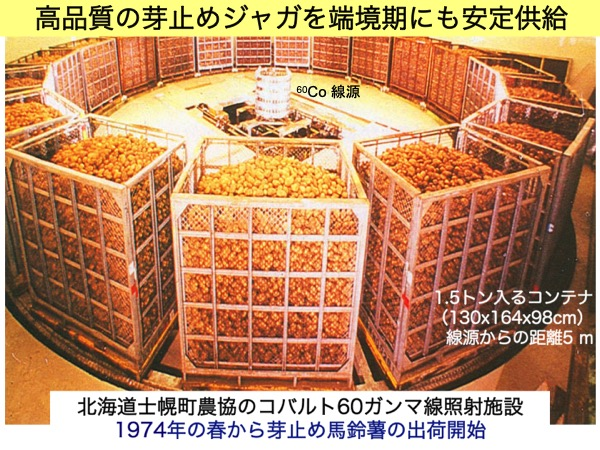 goda_kazunto's tweet photo. 食品への放射線照射はジャガイモの発芽防止目的を除いて食費衛生法で原則禁止されていて、その唯一の例外だった士幌町農協のアイソトープ照射センターも貯蔵技術や品種改良の進展、長年の反対運動の結果として2023年に閉鎖されてしまったんですよね https://t.co/38QxcCz0u2
