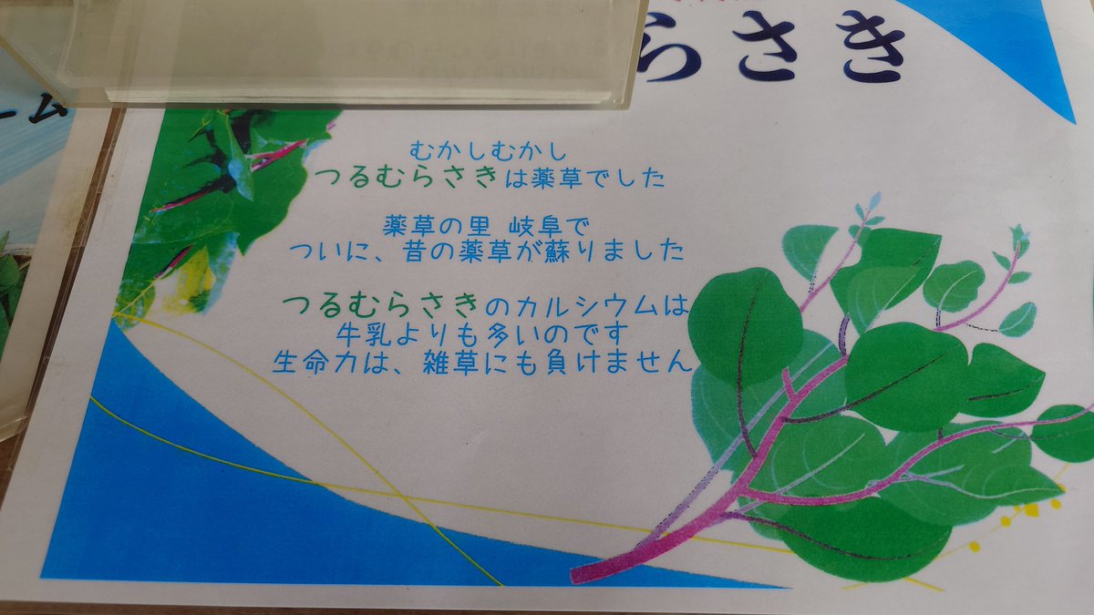 ZRT1965's tweet photo. 岐阜の道の駅むげ川にて
ライダーの義務
つるむらさきソフト🤔
お味は…… https://t.co/Vkj5p9qw7N
