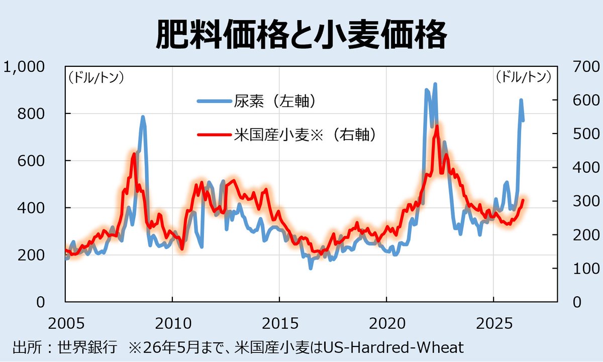 ajipondu's tweet photo. 小麦がだんだん上がり始めてる https://t.co/MCxVAfbW44