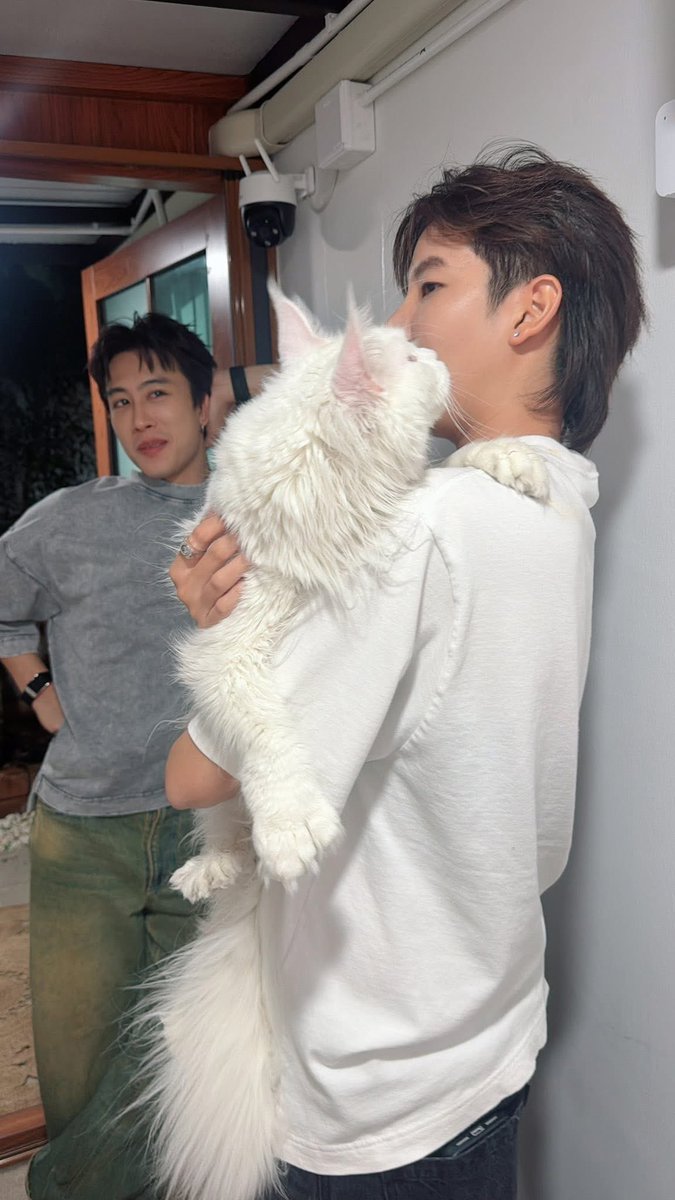 pimxnps's tweet photo. สถานะ “อยากเป็นแมว” 🐱🐱🐱
#นุ๊กปาย #นุ๊กธนดล #ป๊ายปายโอริโอ้ 
#NookPai #NookThanadon #cnp_orio https://t.co/VzcygnHgr8