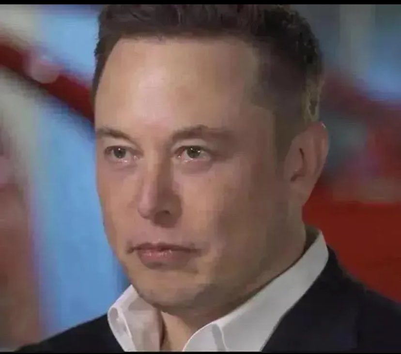 ElonNation 🌍 🇺🇸 tweet media