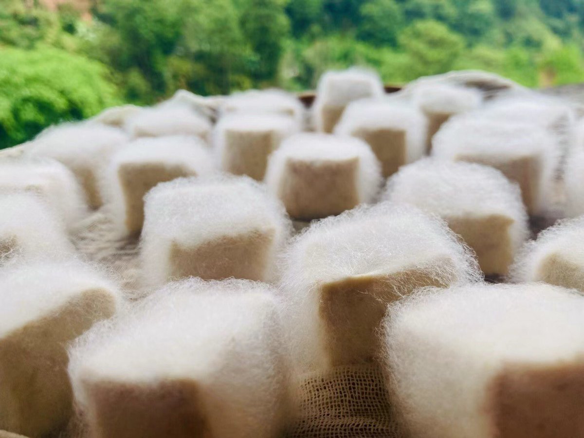 JunTan22382007's tweet photo. 中国人的饮食文化里如果挑一样作为代表国民食物，应该是豆腐，而不是饺子。
图一：云南建水蒸臭豆腐
图二：云南石屏烤小豆腐
图三：臭豆腐的发酵
图四：家庭自制香油腐乳 https://t.co/qOLpk4xrpU