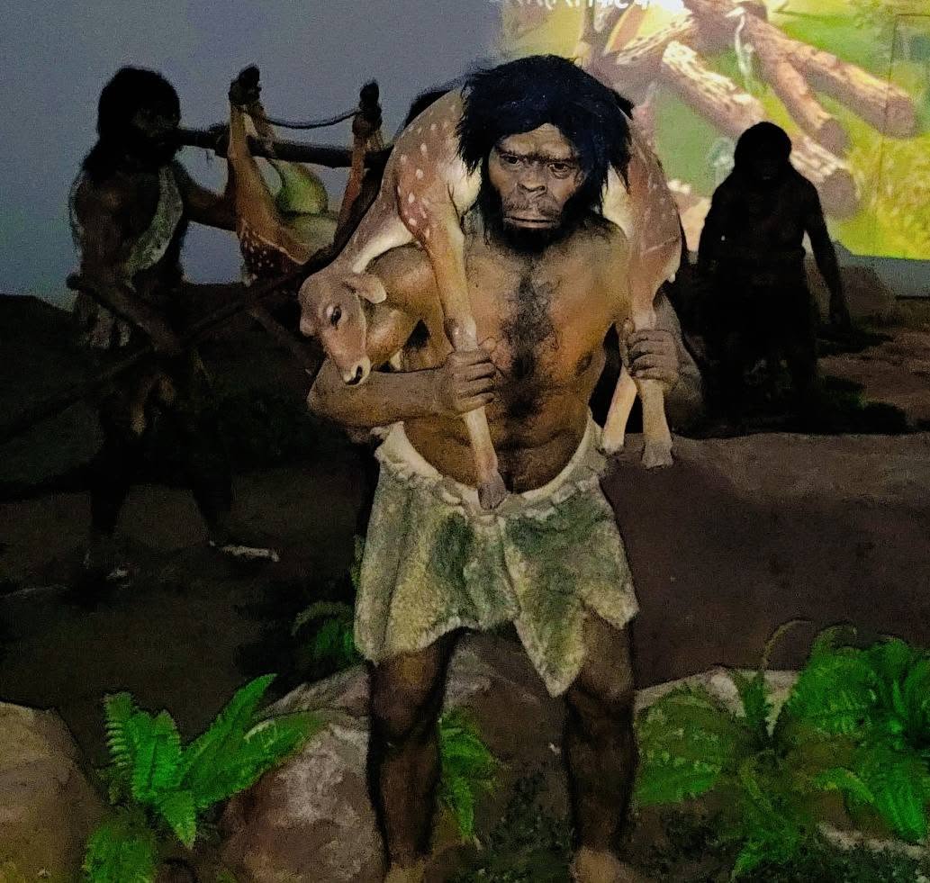 ScienceCityKol's tweet photo. 🧬🌍 Travel through millions of years of human history in an immersive #360Panorama experience at @ScienceCityKol, a unit of @ncsmgoi, @MinOfCultureGoI.
Discover the fascinating journey of human evolution through stunning visuals and storytelling. ✨🎬
#HumanEvolution https://t.co/sO5OLOyQQq