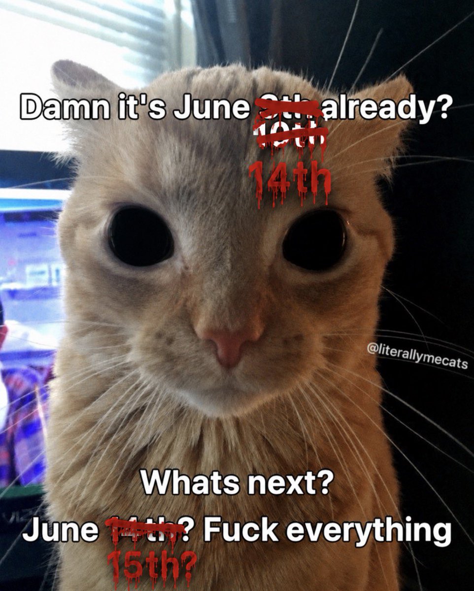 literallymecats's tweet photo. https://t.co/dT3Udg0Wjc
