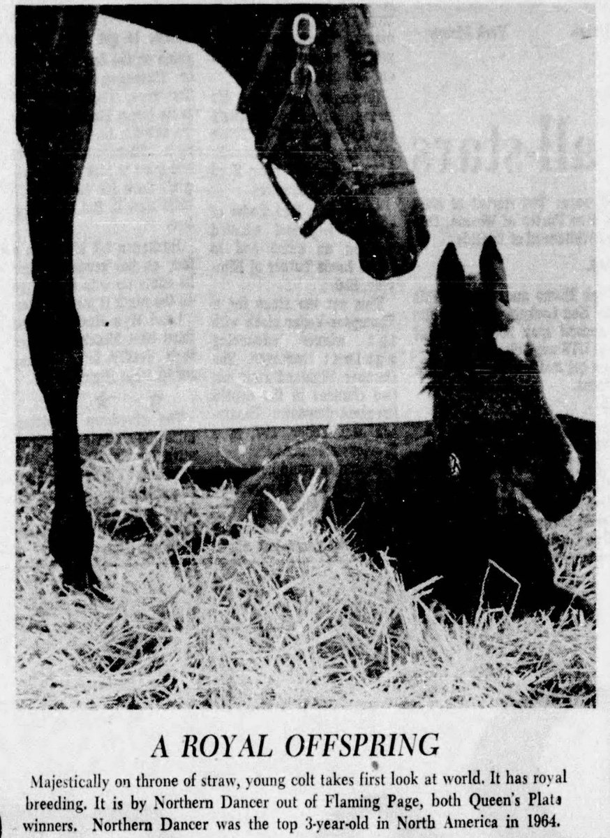 anthonyant5214's tweet photo. @lunarandsunny Nijinsky 2 the last uk triple crown winner the father of Maruzensky , Fernando and Etc https://t.co/FnkaXP8TH0