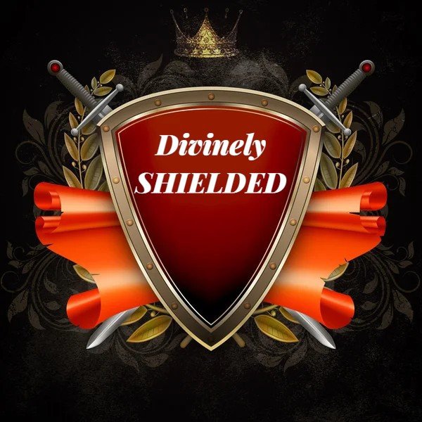 ProphetElvin's tweet photo. Divinely SHIELDED.
This WEEK as u PROGRESS in d JOURNEY of ur life, by d GRACE &amp; MERCY of God, I pray, no calamity or evil occurrence shall come near ur dwelling place. Nothing of VALUE shall die nor be wasted around u.  Ps 18 :1-3. https://t.co/MRNblqzrmW