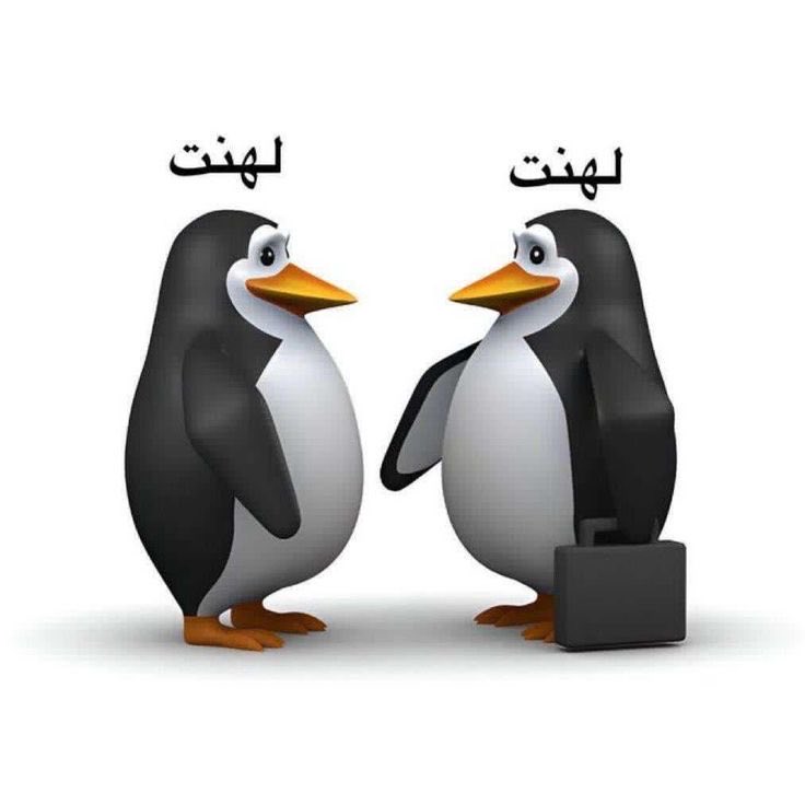 w_leae's tweet photo. الاهلاويه متأملين بمدافعينهم بكاس العالم 

هم بعد اسبوع بمطار ميامي: https://t.co/wVi8hxGtrl