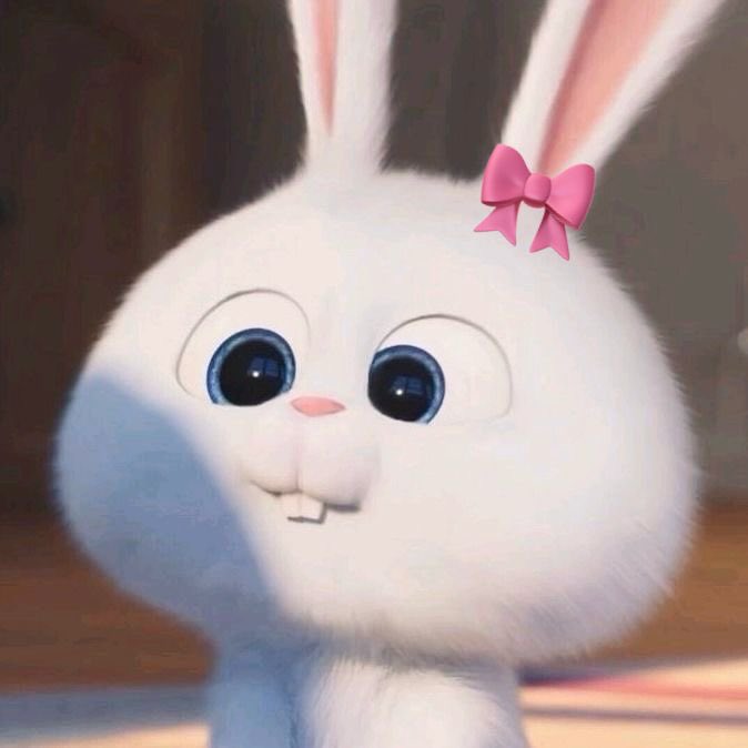 youinblack's tweet photo. รอยยิ้มกะชากใจทีมแม่ 🐰✨ https://t.co/VPf7cZe4kW