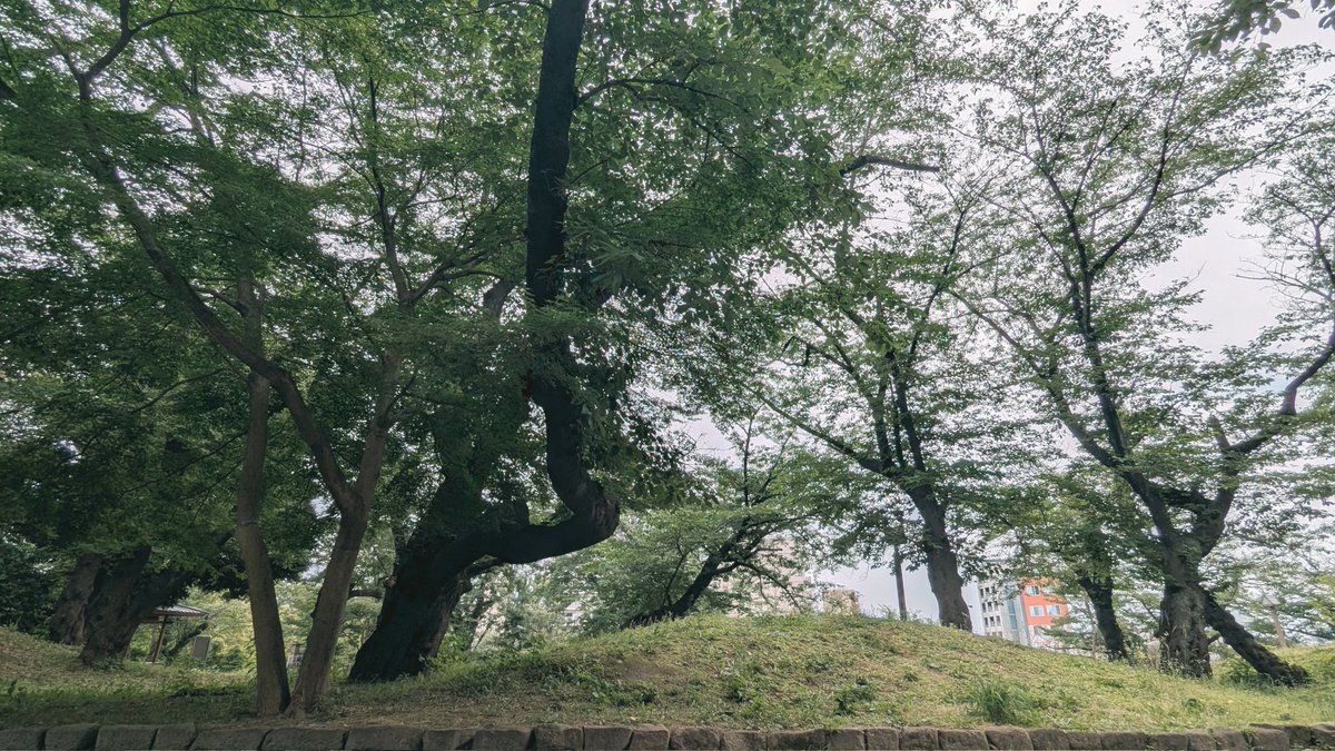 BKROBICH's tweet photo. 昼に解放されたので娑婆の空気を吸いに飛鳥山公園@王子 https://t.co/tc2YBGiFPi
