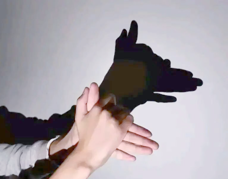 chirindi's tweet photo. A 10-minute "shadow guessing game" after dinner! Kids laugh as they make animal shapes with hands—simple fun that builds tiny brains u0026 big smiles. https://t.co/hI8dAehGHK