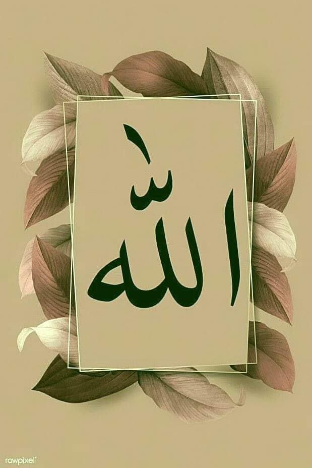 kamil pathan 🥀🥀🥀🌹🌹🌹 tweet media
