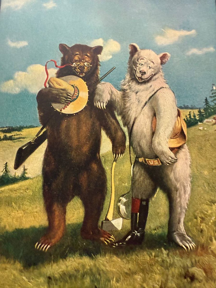 BULLISHBAYnana's tweet photo. The Roosevelt Bears 🐻 🐻‍❄️ TEDDY B and TEDDY G @teddybearbg123  NeverFadeA $TEDDY https://t.co/az4OfuhbM8