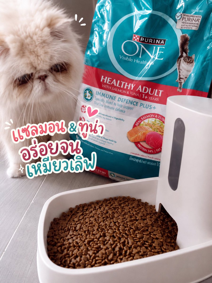 Not2ToBrag's tweet photo. ทาสแมวต้องมุงงง 🐱🔥 Purina ONE อาหารแมวถุงใหญ่ 

🟠 https://t.co/GYIHXNdPGq

เม็ดเคี้ยวกรุบๆ เติมพลังให้น้องเหมียว กินฟินทุกมื้อ ดูแลครบในถุงเดียว มีรสให้เลือก เอาใจเจ้านายได้เลย💖 

#PurinaONE #อาหารแมว #ทาสแมวต้องมี #แมวกินดีทาสแฮปปี้ #ของมันต้องตุน https://t.co/RqqpYEBy7v