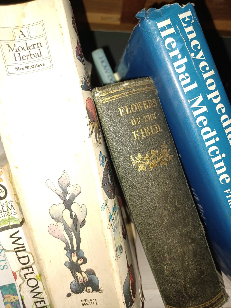 SeedsGalore's tweet photo. Knowledge is Power
#Knowledgeispower
#Knowledge
#wildflower
#wildflowers
#Power
#reading
#books https://t.co/EjR9ieiBJK