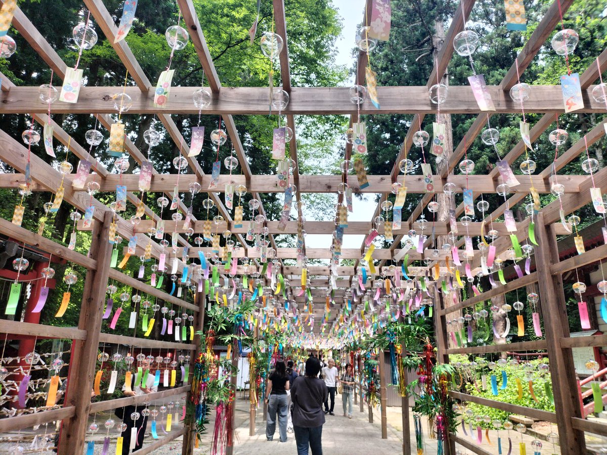 halu25253's tweet photo. 風鈴綺麗🎐
あやめも咲いてた https://t.co/0kzeXF8TDG