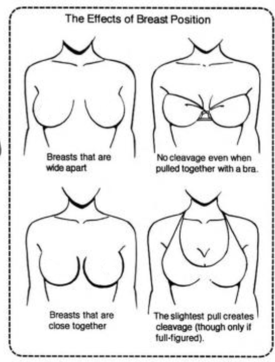 Mesozoicart's tweet photo. @ImmyBisou All good points. I just want to add that not all breasts are the same distance apart. So cleavage can look different based on breast position. Pic by Hikaru Hayashi in his how to draw manga series https://t.co/bl0ueKW4I8