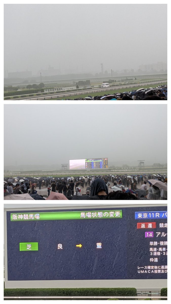wtpgjm139's tweet photo. 宝塚記念
発送前に、重に変更
　
大雨⛈️🌧️ https://t.co/9f2WY0Vs6R