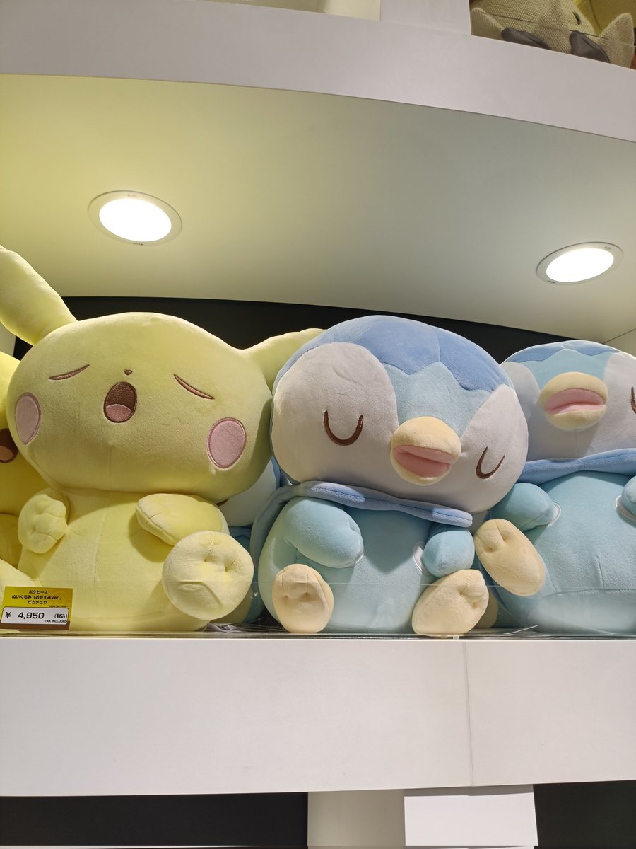 PIYOHARAPIYOHA's tweet photo. PokémonCenter激混み
ポケモン好きだね、みんな https://t.co/Q91JvrnN83