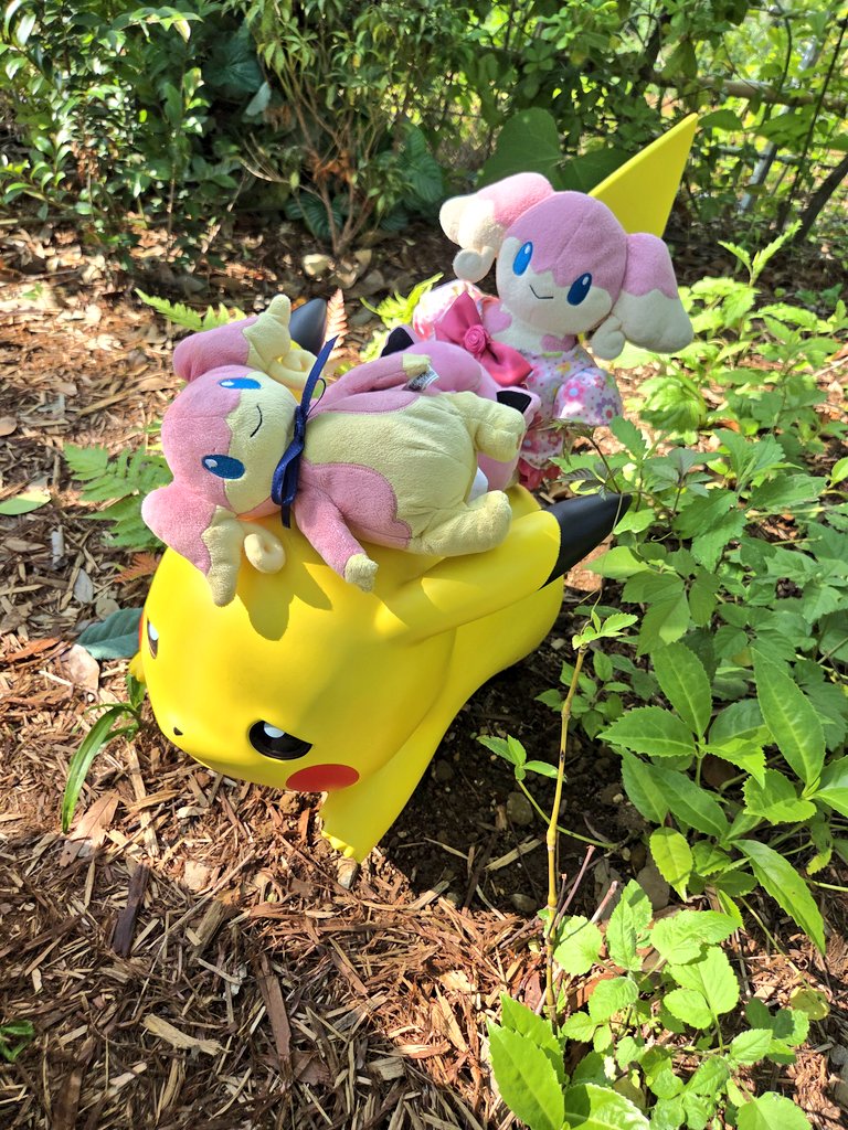 ez_flash's tweet photo. ピカ様に寄生するピンクの悪魔×3 https://t.co/ctJ80dTt16