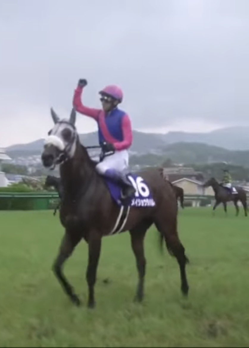 Kontenasan_bf's tweet photo. The son of the first horse to win back-to-back Takarazuka Kinens has now done the same himself.

And of course, that makes them the first father-son pair to both win it back-to-back. https://t.co/qHxQOZcmGN
