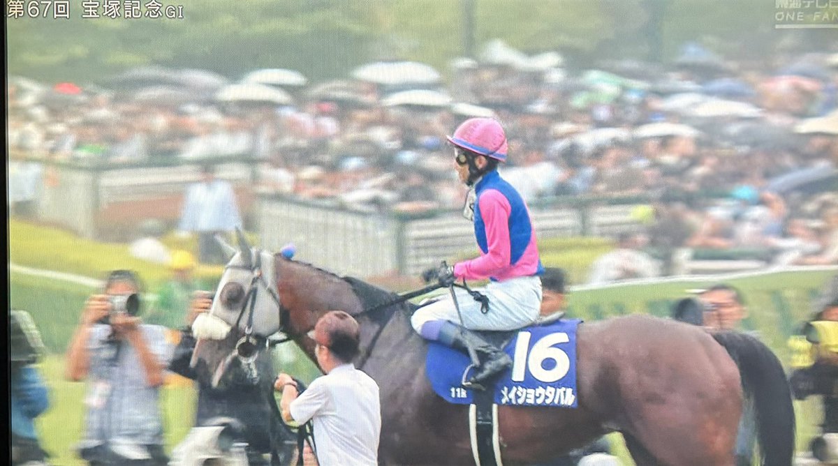 hakusadaosa's tweet photo. 宝塚記念🐎
メイショウタバル来たーーーー

武豊騎手
おめでとうございます㊗️ https://t.co/6j0yMzYTMh