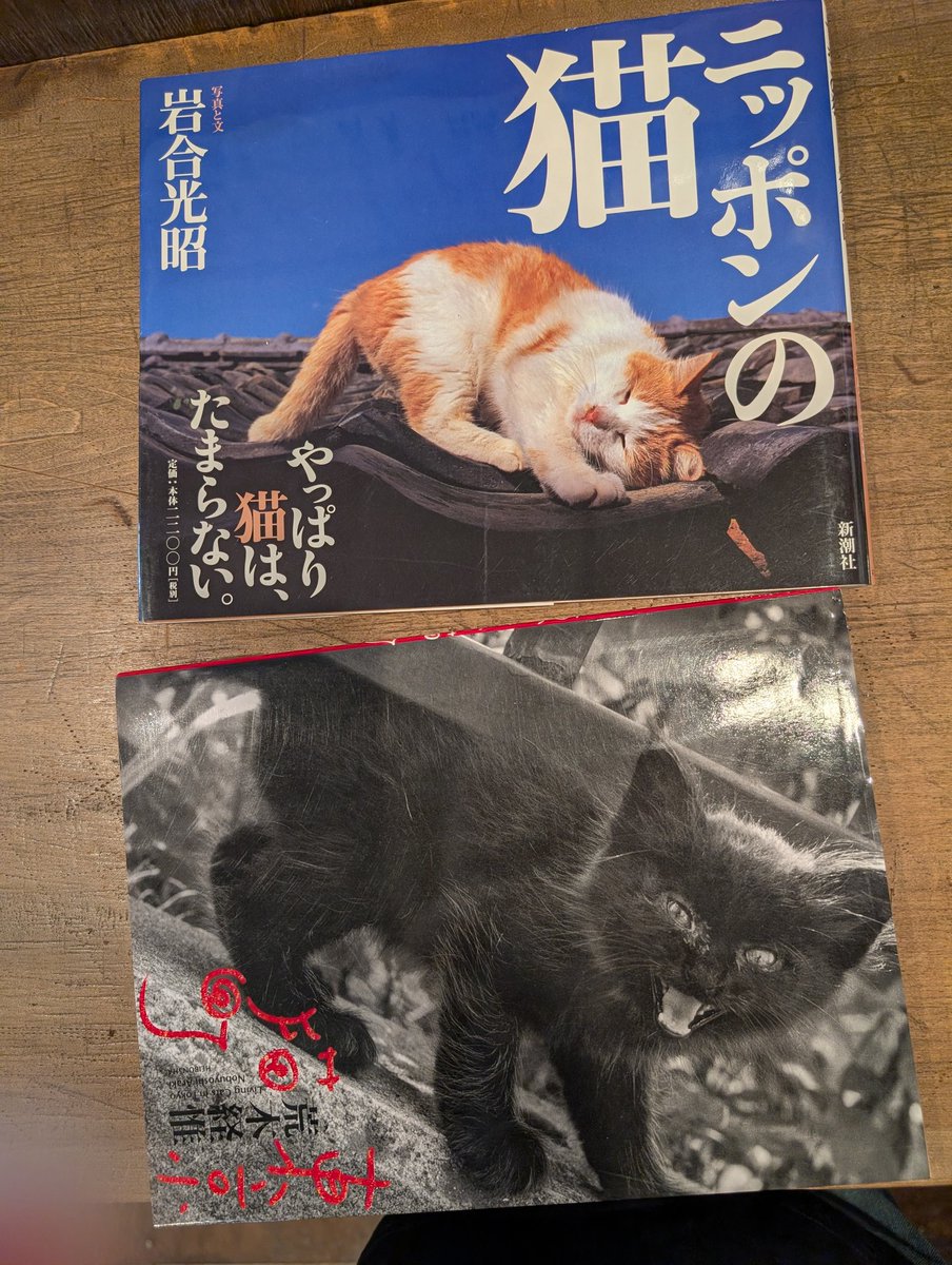 adanonki's tweet photo. 岩合さんの猫↑
アラーキーの猫↓
違いすぎる😁 https://t.co/EJmLggxNM2