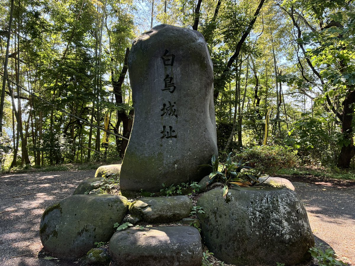 shirononegi's tweet photo. #白鳥城🏯に行って、白鳥城址の石🪨をべったり見てみたが、この側面にある窪みは何？

石を運ぶ時に何かつけた跡？
まさか矢穴ではなかろう…

白鳥城の石碑のえくぼのようで、かわいい💕

もしかして七不思議的に、夜な夜な目が開くとか👀😱

という城攻め時の気になったところ🤔 https://t.co/8twRkf42ph