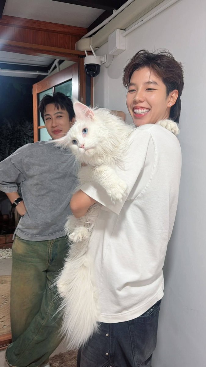 Mingya20's tweet photo. แมวน่ารักใช่คะคุณพรี่ 🫢🫢🫢😆😆
#นุ๊กปาย #ป๊ายปายโอริโอ้ #นุ๊กธนดล https://t.co/t1Me4t2t61