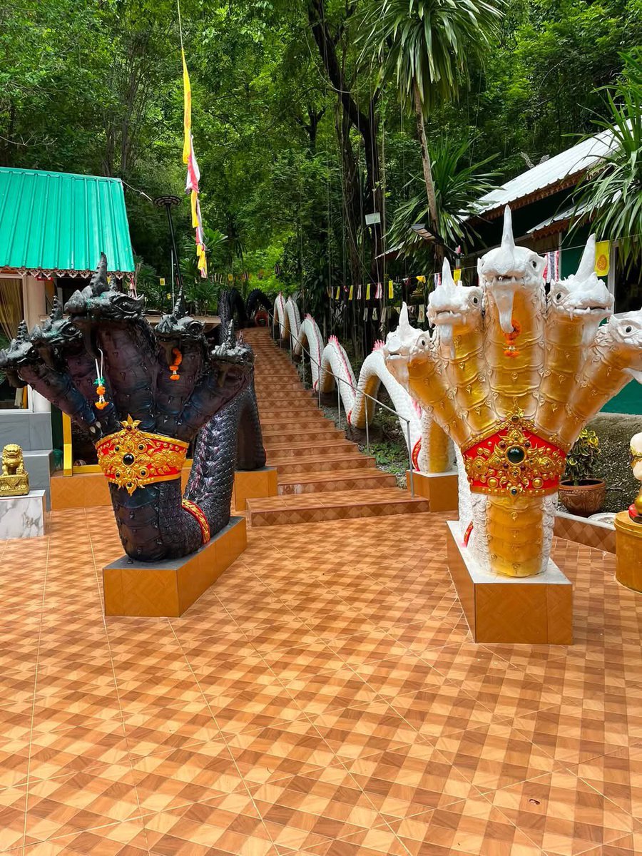 Phonp007's tweet photo. #วันนี้วันพระ #ทำบุญตามสะดวกสบายๆ
#วัดถ้ำชัยมงคล #หลวงปู่วัง #สำเร็จสมปารถนา #รวยแสนล้าน 14062026 https://t.co/K2K034vpga