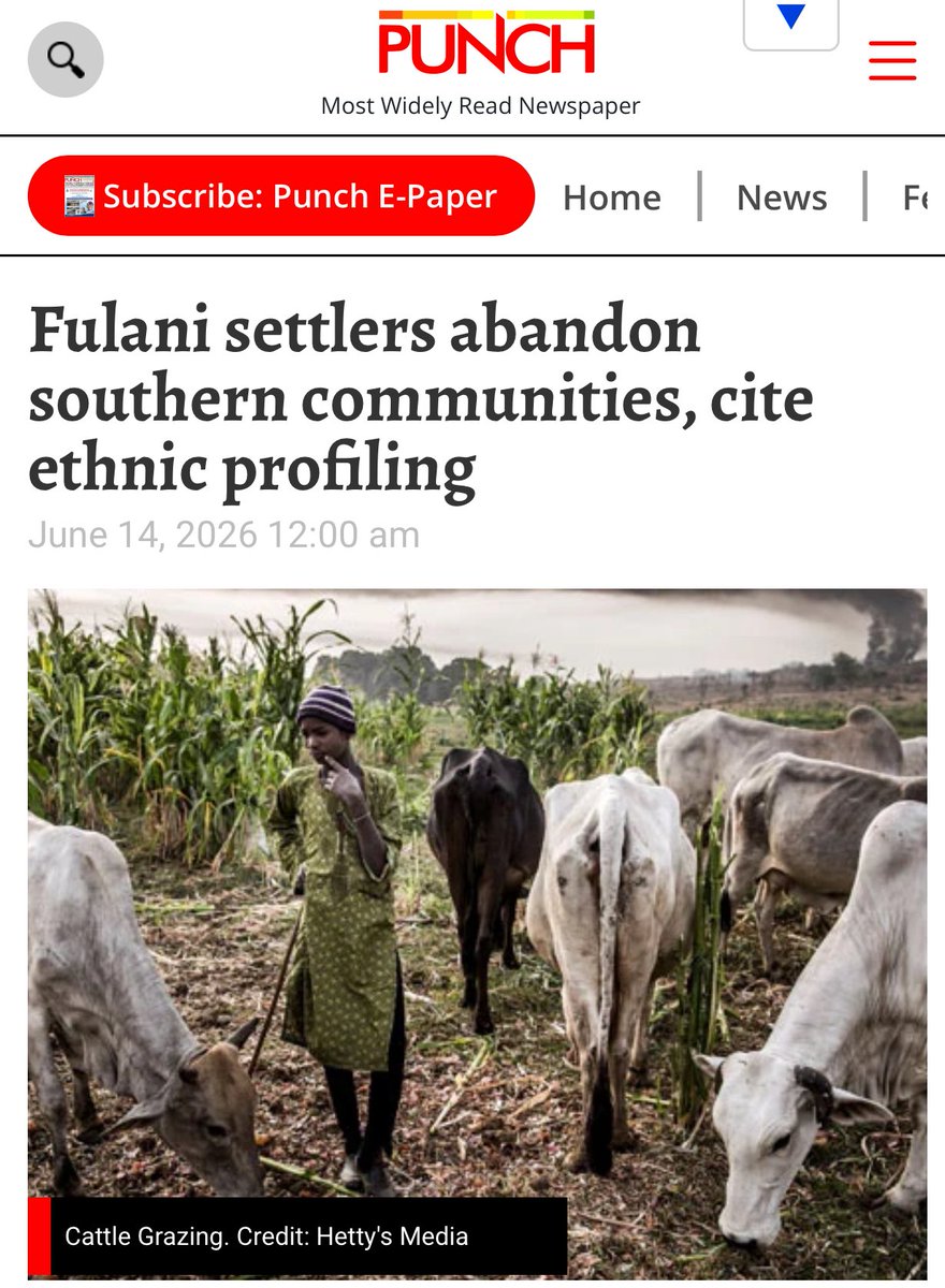 ChinasaNworu's tweet photo. Just in !

 Many Fulani settlers are abandoning southern Nigerian communities due to alleged ethnic profiling and rising insecurity. Learn why Fulani settlers are relocate. 

https://t.co/QdxghLO44o

@real_IpobDOS 
@radiobiafralive https://t.co/Vn124fRdBN