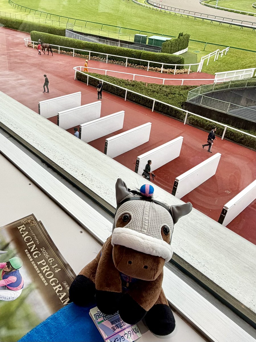 舞夢🐎🎀 tweet media