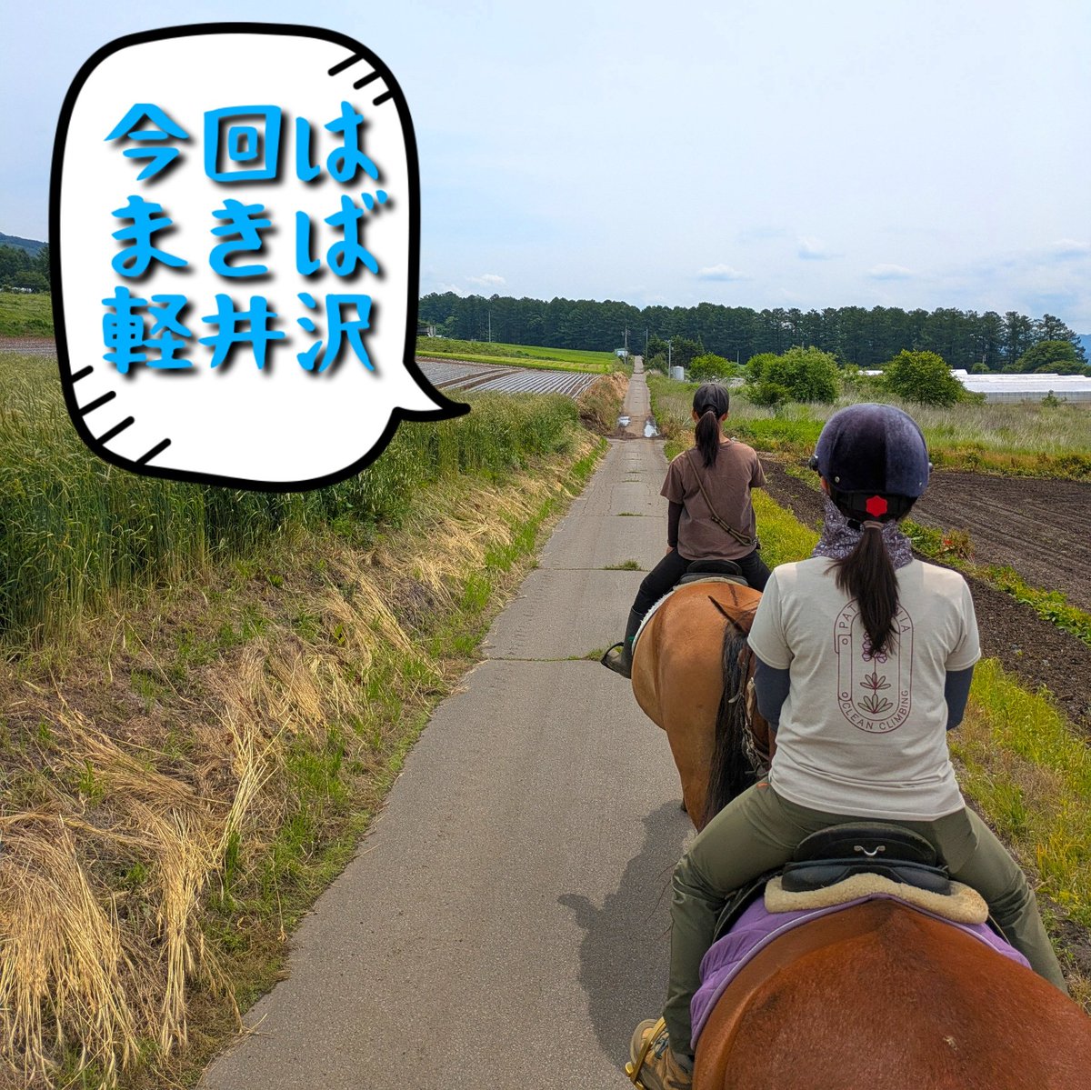 renfellone's tweet photo. 本日は久々の外乗🎶
小諸のまきば軽井沢へ🐴
北海道和種馬系（MIX含む）しかいない牧場でノンビリお散歩☘️
普段はガイドの役目のガイドくん
めちゃくちゃ優秀でした✨️
個性ある子たちばかりで楽しかった〜
さあ来週からは大阪ホースフェアの準備❗
#馬 #ヨナグニウマ #与那国島 #在来馬 #沖縄 https://t.co/dnSqMl3AAy
